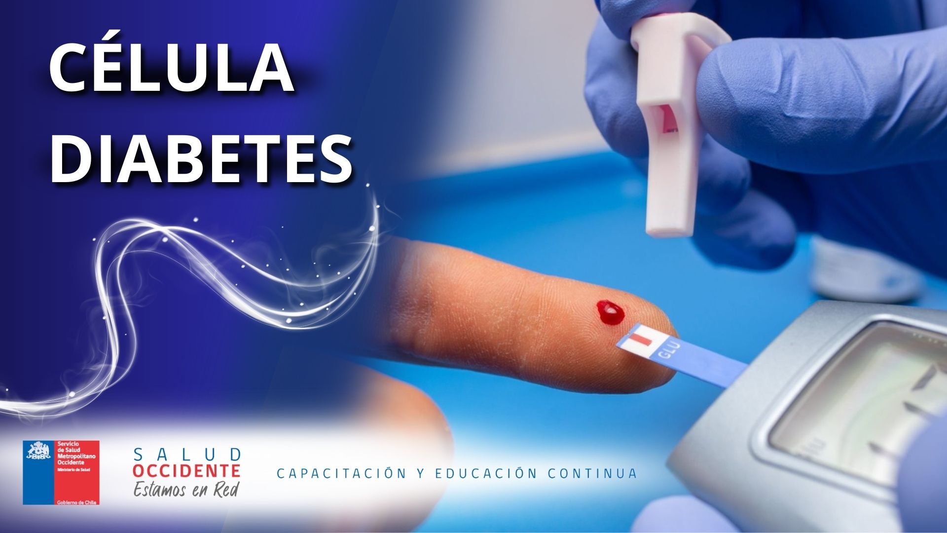 Célula Diabetes 
