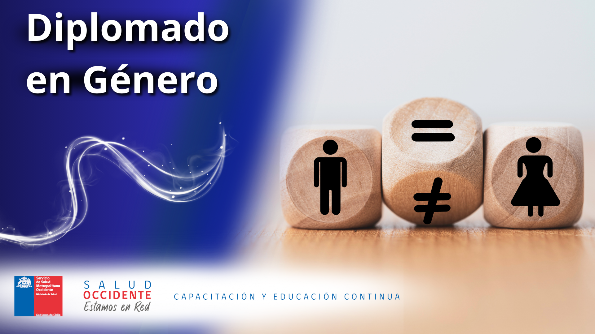 Diplomado en Género, DDHH y salud