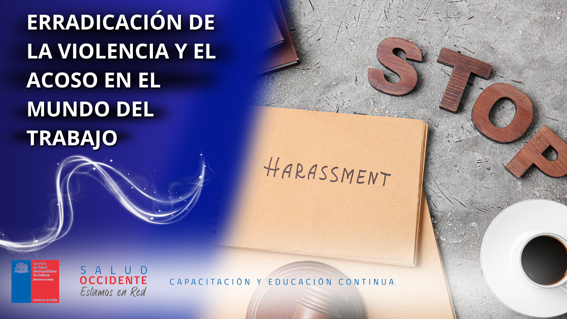 ERRADICACIÓN DE LA VIOLENCIA Y EL ACOSO EN EL MUNDO DEL TRABAJO