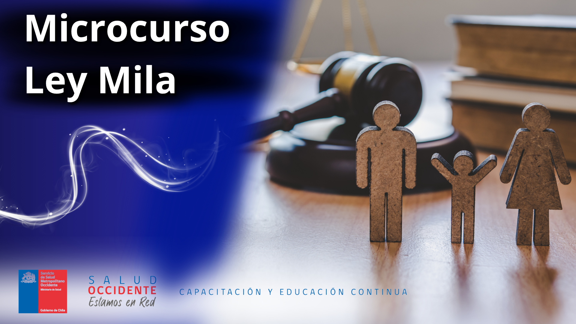 Microcurso Ley Mila