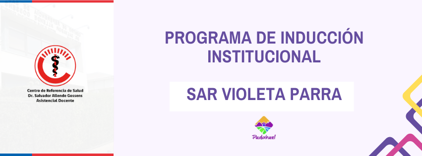 PROGRAMA DE INDUCCIÓN INSTITUCIONAL SAR VIOLETA PARRA