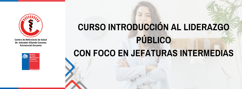 INTRODUCCIÓN AL LIDERAZGO PÚBLICO - CON FOCO EN JEFATURAS INTERMEDIAS