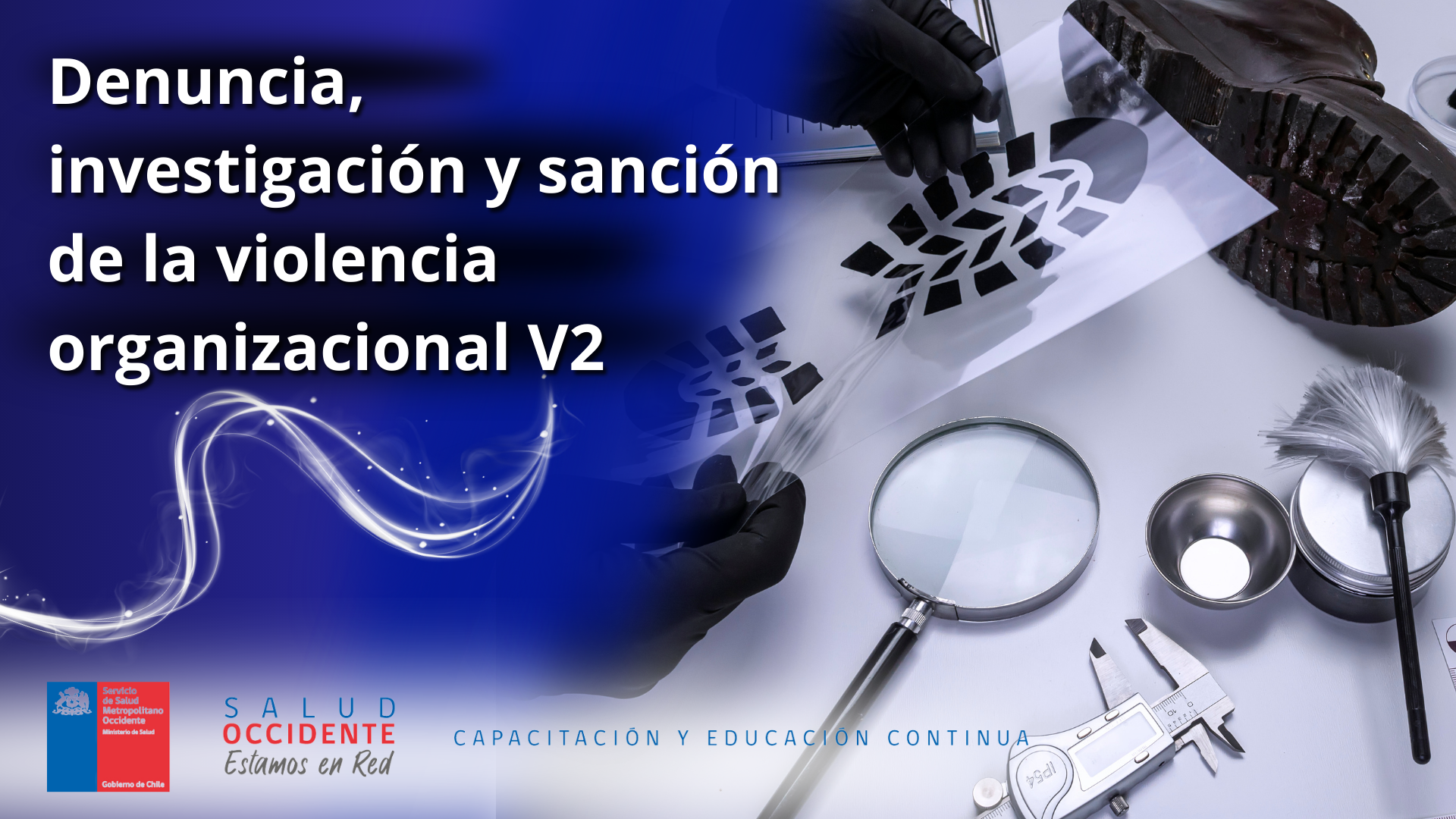 Denuncia, investigación y sanción de la violencia organizacional V2