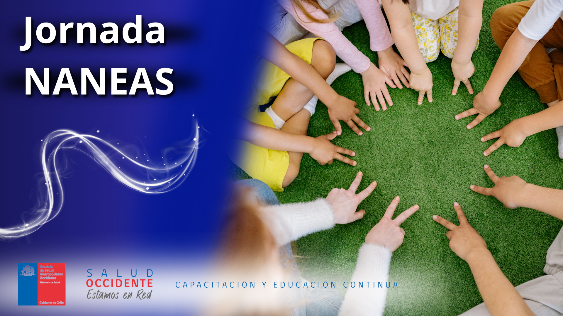 Jornada NANEAS
