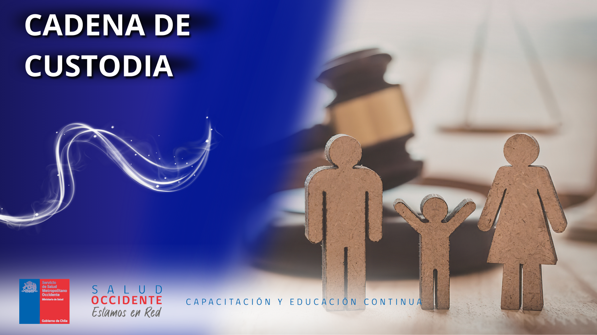Cadena de Custodia