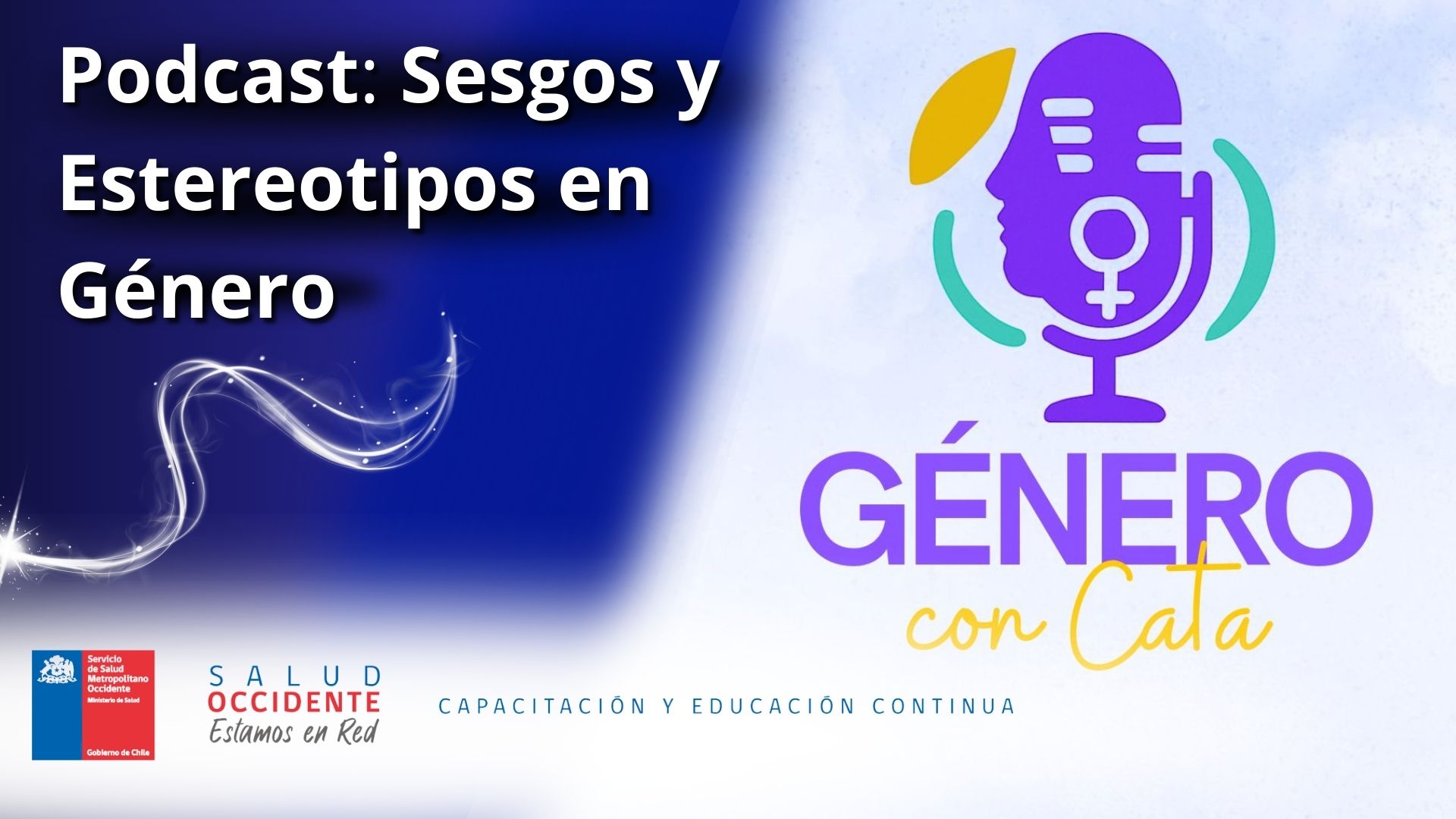 Microcurso Sesgos y Estereotipos en Género (V1) 2026