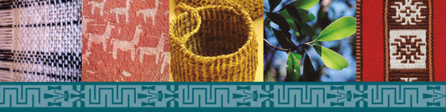 Abordaje de violencia sexual contra las mujeres y NNNA (2024)